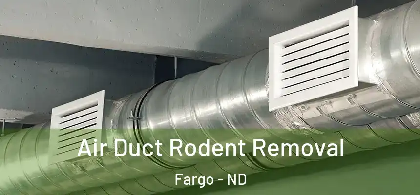 Air Duct Rodent Removal Fargo - ND