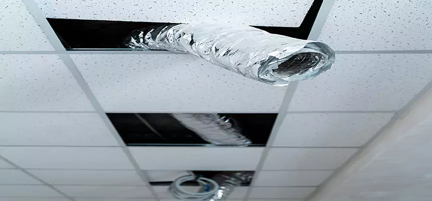 Our Air Duct Pet Hair Removal Services in Fargo, ND