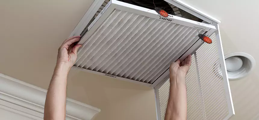 Our Insect Removal from Air Ducts Services in Fargo, ND