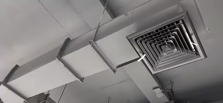 Our Pest Removal From Ducts Services in Fargo, ND