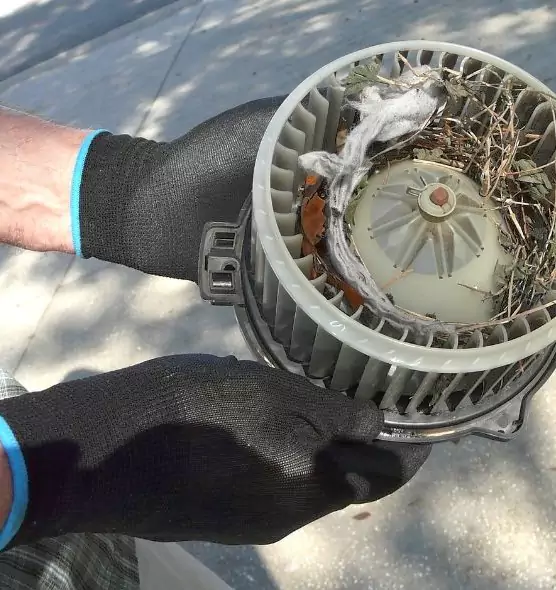 About Air Duct Rat Removal in Fargo, ND