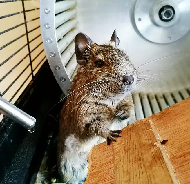 Why Homeowners & Businesses Trust Us Fargo, ND